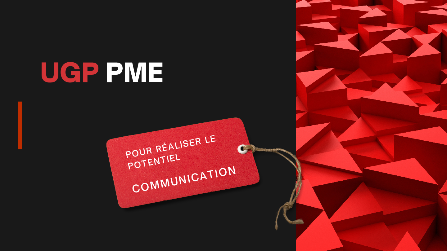 UGP PME pour réaliser le potentiel communication