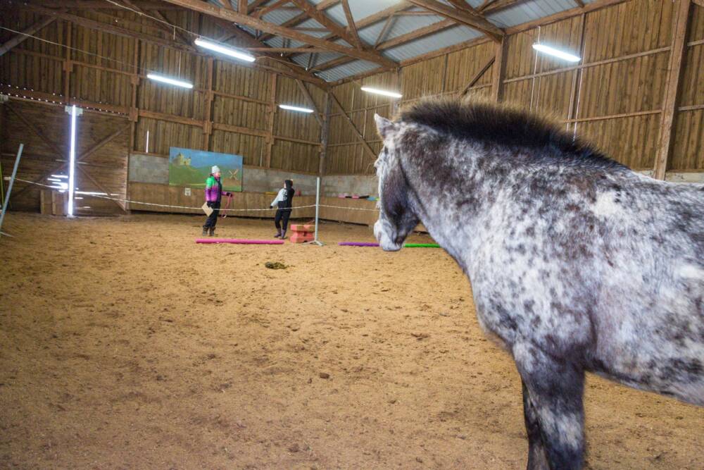 Ranch of the Roses_Dona Van Wetter_Poney_Séance_Equicoaching_Intéractions