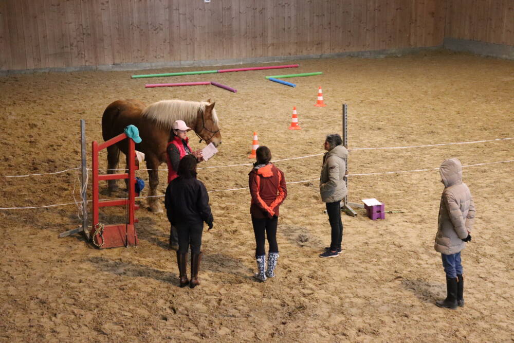 Ranch of the Roses_Dona Van Wetter_Boréal_Séance_Equicoaching_Briefing