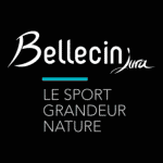 logo bellecin