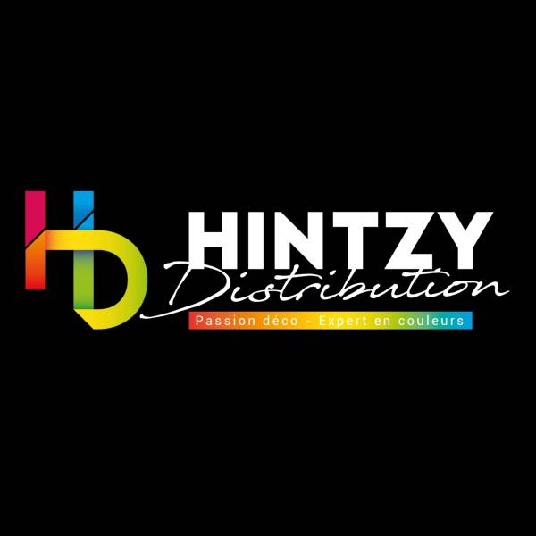 logo hintzy