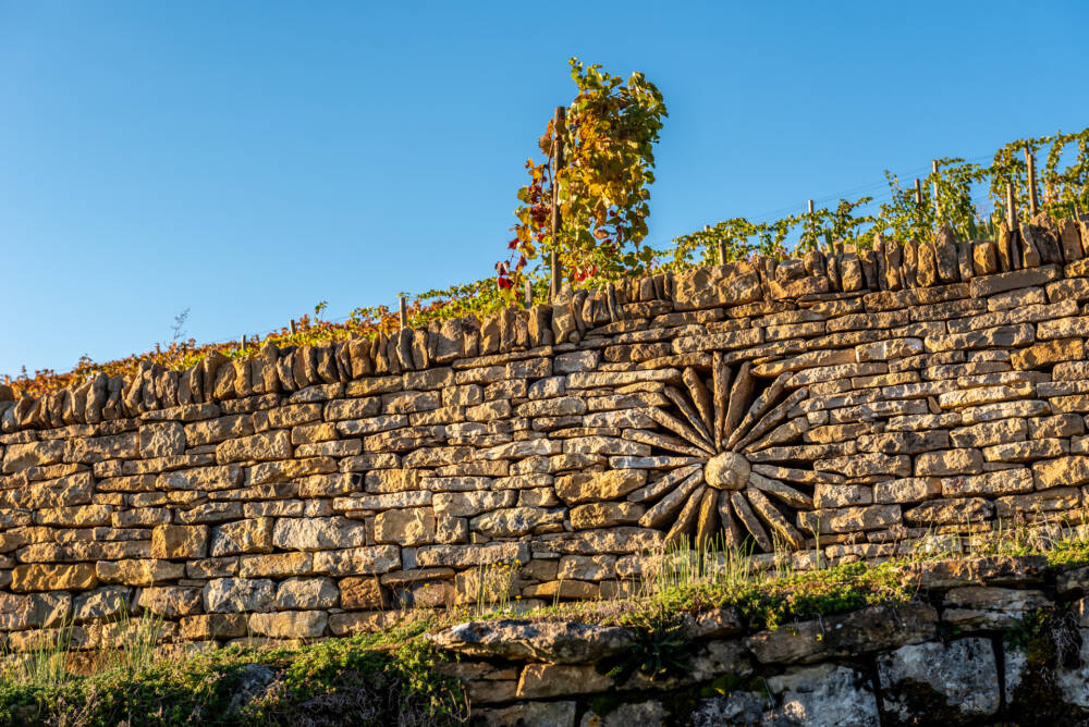 Vignes et murs en pierre décoratifs