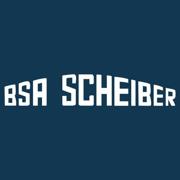 logo BSA SCHEIBER