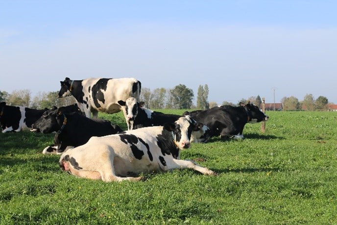 La Ferme de Suzie